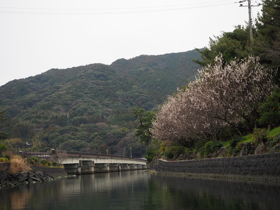 遊覧船からの風景